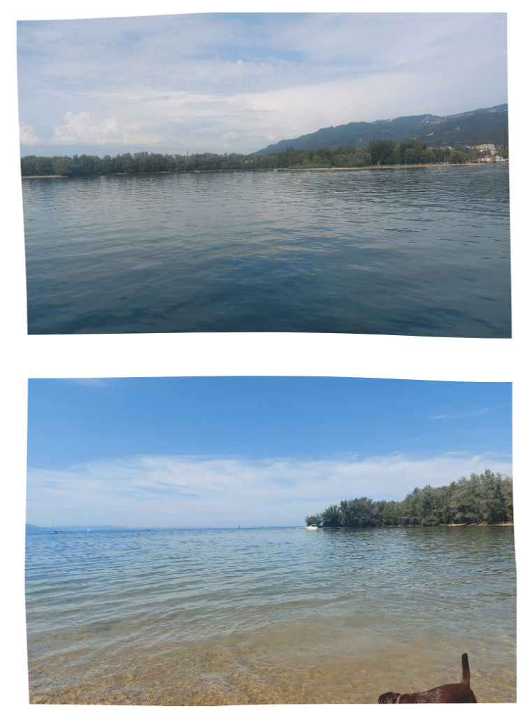 Schwimmen im Bodensee