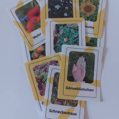 Familienrally_Natur_Sommer_Karten