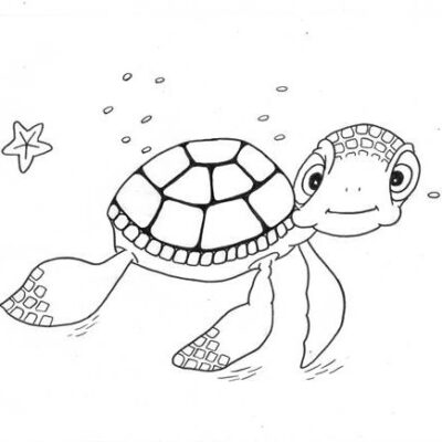 Schildkröte das Puzzle zum Ausmalen